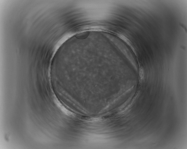 X0000103141482200809051603