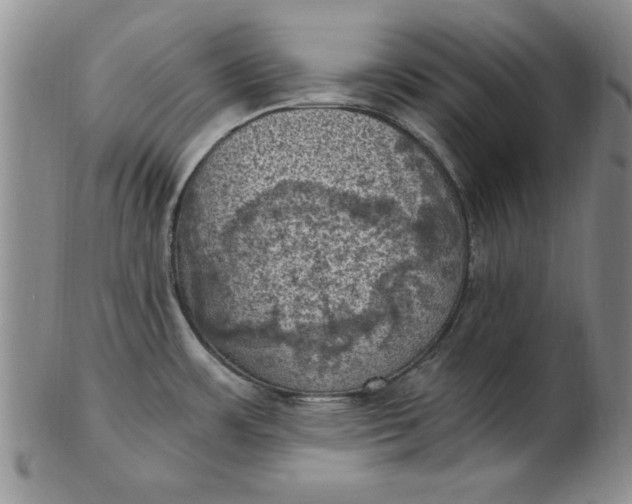 X0000103141483200809051603