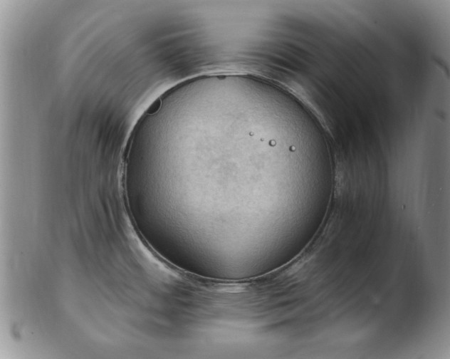 X0000103141484200809051603