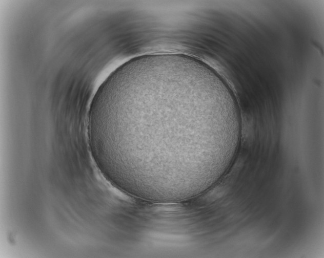 X0000103141486200809051603