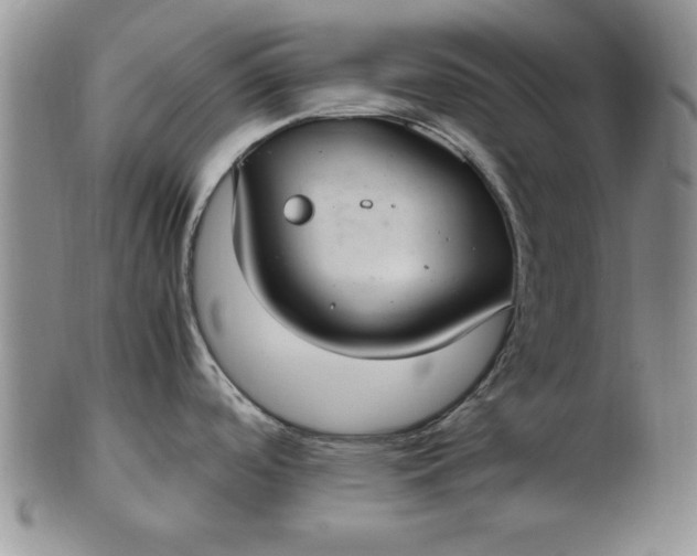 X0000103141488200809051602