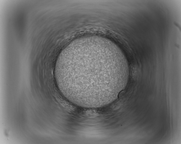 X0000103141489200809051602