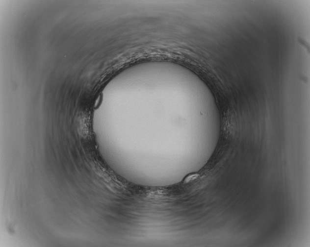 X0000103141490200809051602