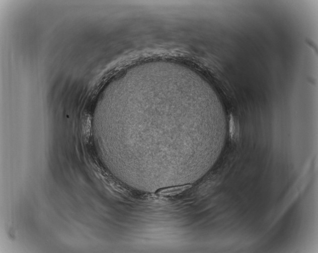 X0000103141492200809051602