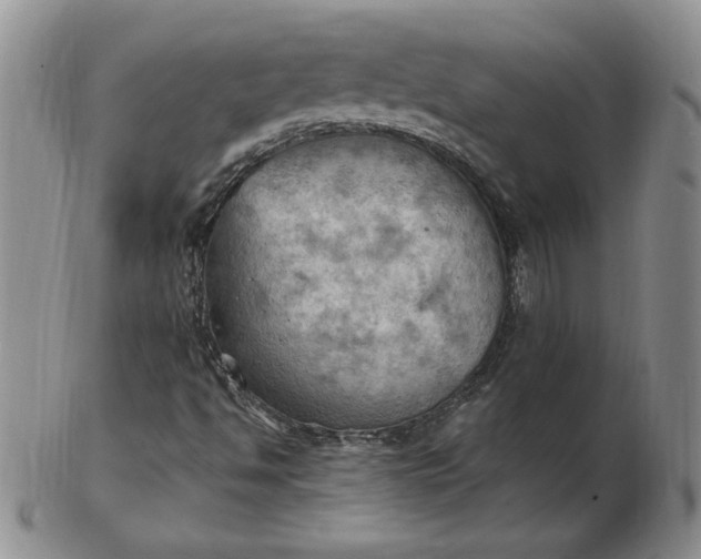 X0000103141494200809051602