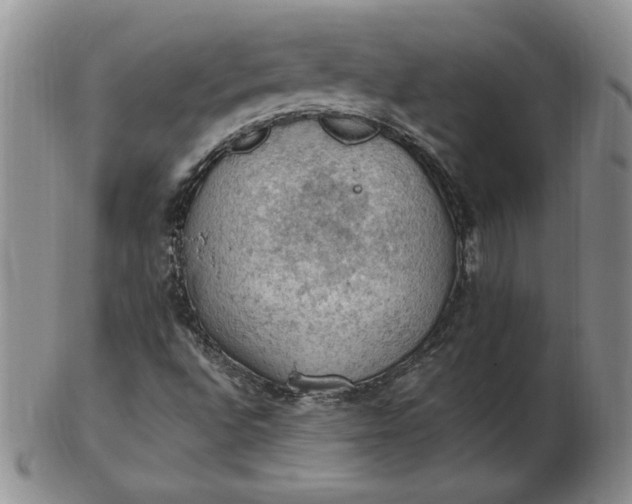 X0000103141496200809051602