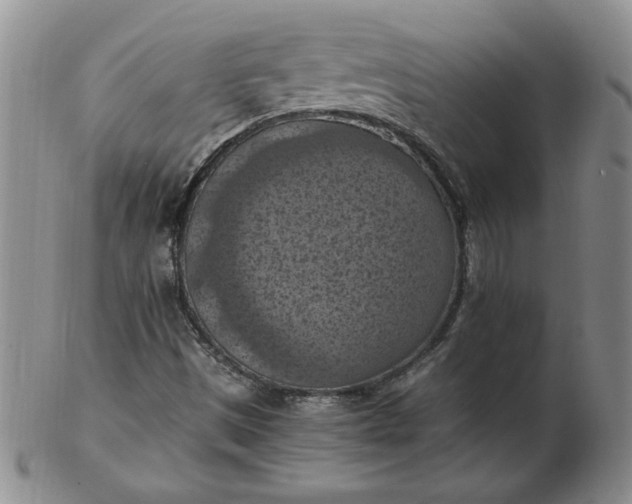 X0000103141497200809051602