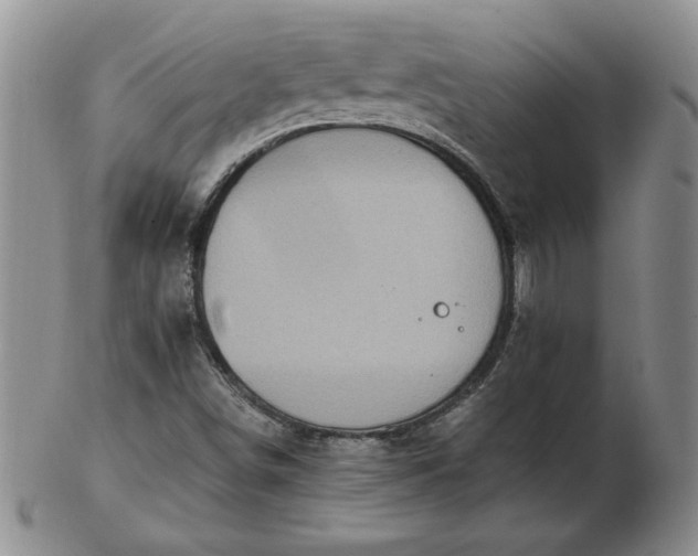 X0000103141498200809051602