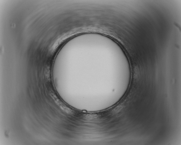 X0000103141499200809051602