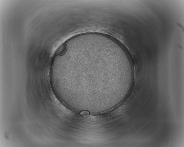 X0000103141500200809051602