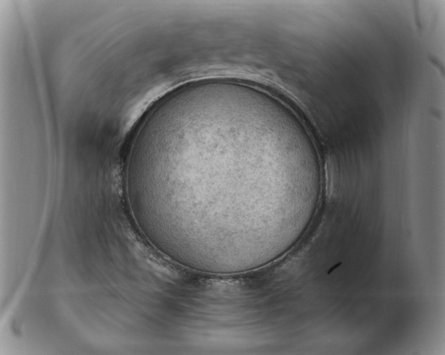 X0000103141501200809051602