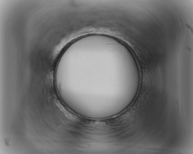 X0000103141503200809051602