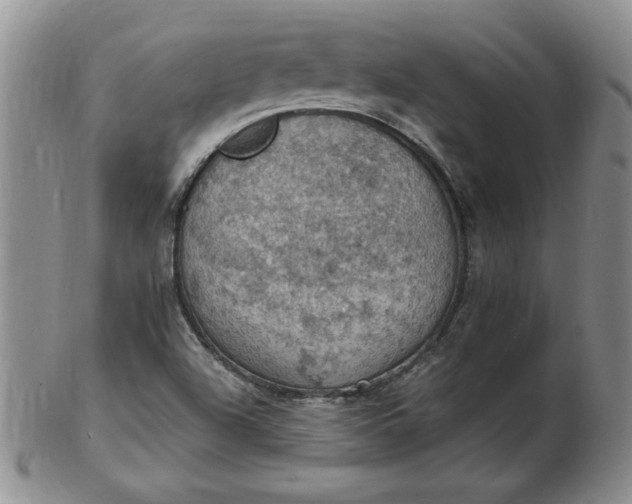 X0000103141504200809051602