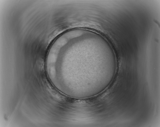 X0000103141505200809051602