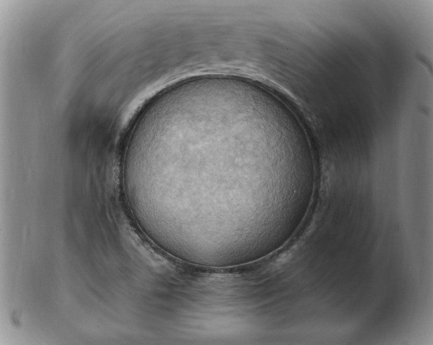 X0000103141506200809051602