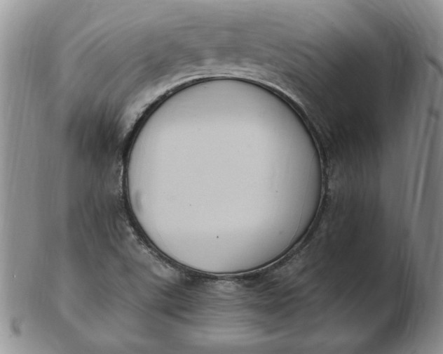 X0000103141507200809051602