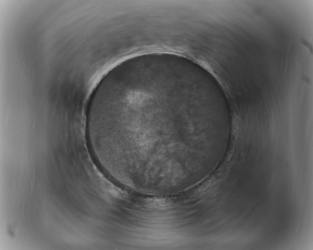 X0000103141508200809051602