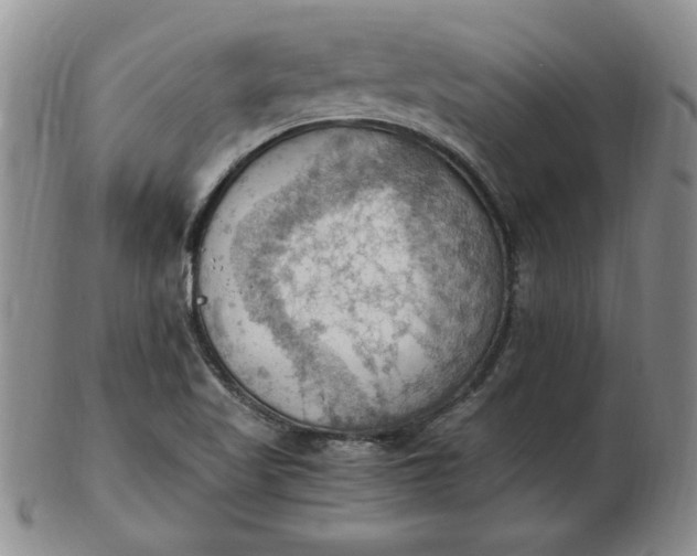 X0000103141509200809051602