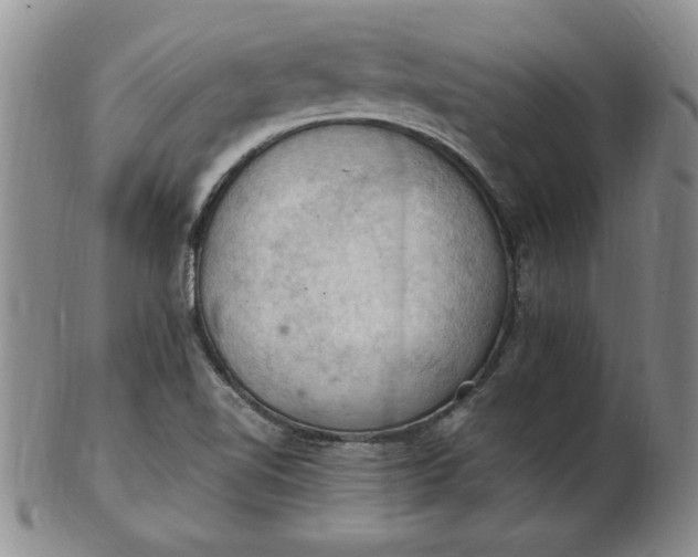 X0000103141510200809051602