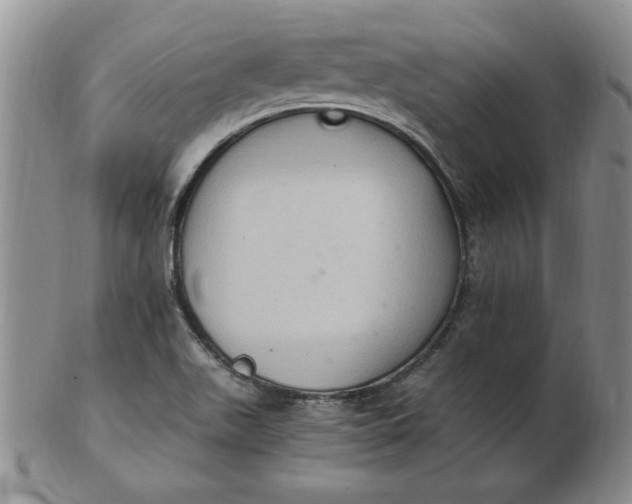 X0000103141511200809051602