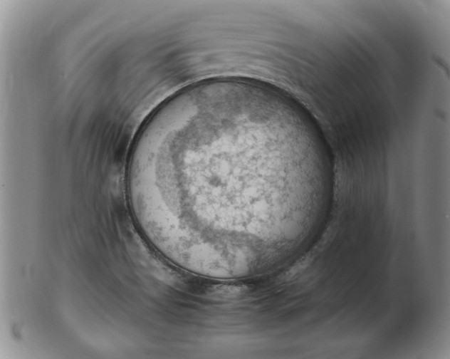 X0000103141513200809051602