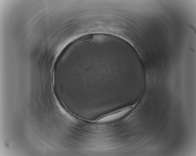 X0000103141515200809051602