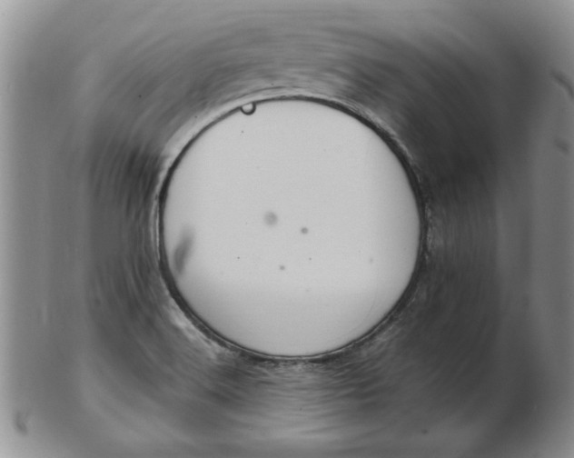 X0000103141516200809051602