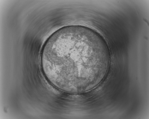 X0000103141517200809051602