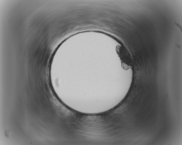 X0000103141518200809051602