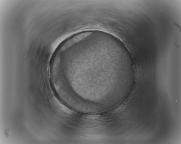 X0000103141519200809051602