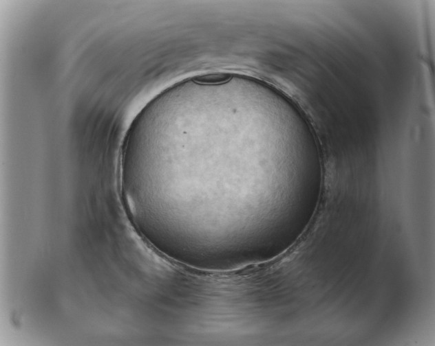 X0000103141520200809051602