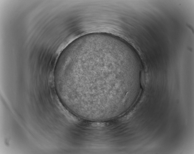 X0000103141521200809051602