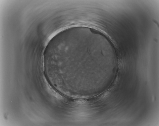 X0000103141522200809051602