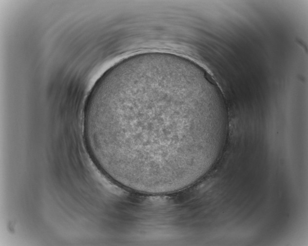 X0000103141523200809051602