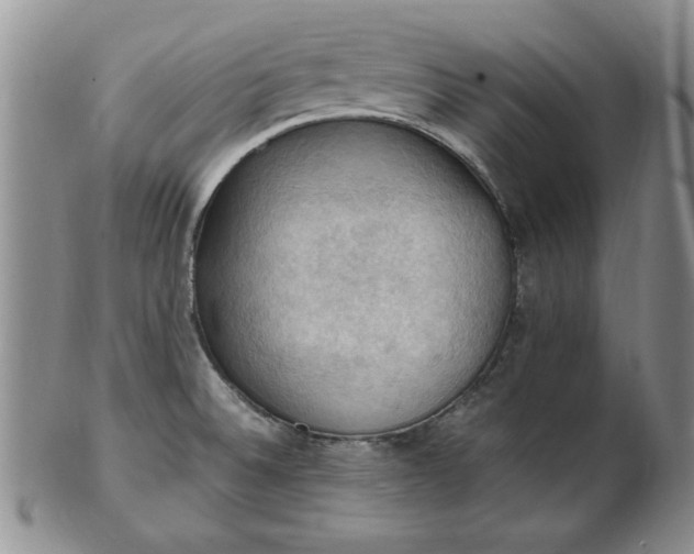 X0000103141524200809051602