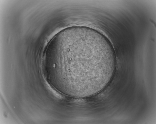 X0000103141525200809051602