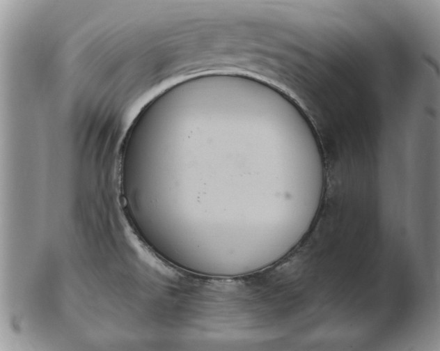 X0000103141526200809051602