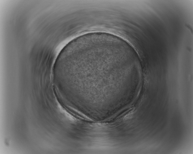 X0000103141527200809051602