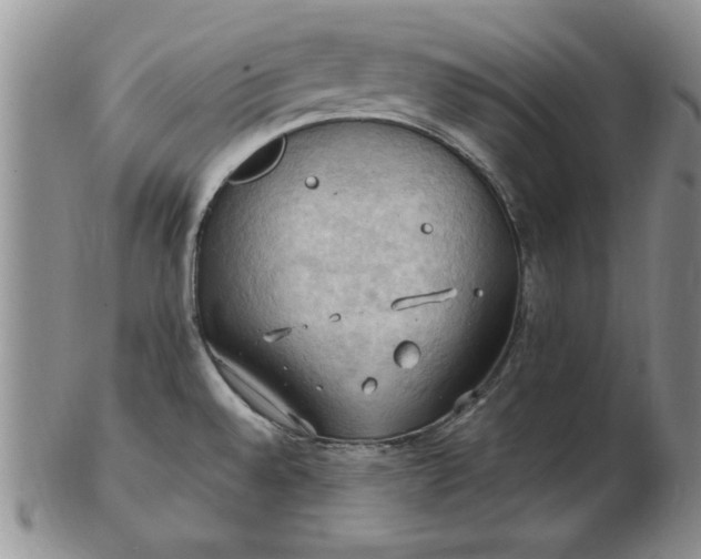 X0000103141528200809051602