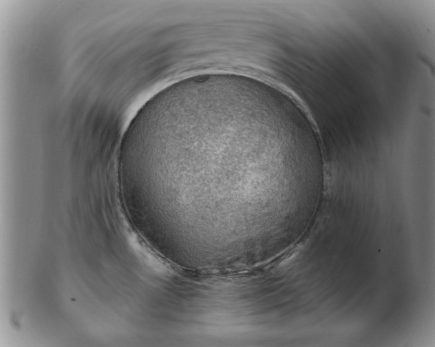 X0000103141530200809051602