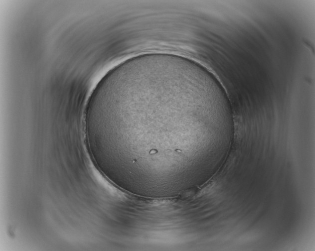 X0000103141531200809051602