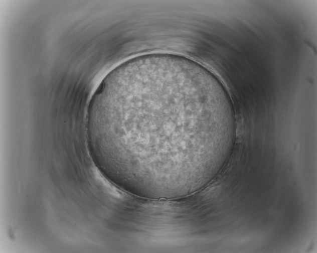 X0000103141532200809051602