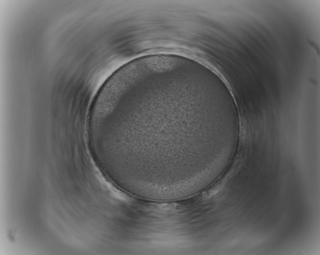 X0000103141533200809051602