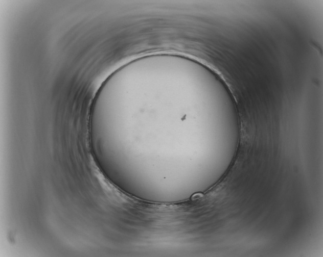 X0000103141534200809051602