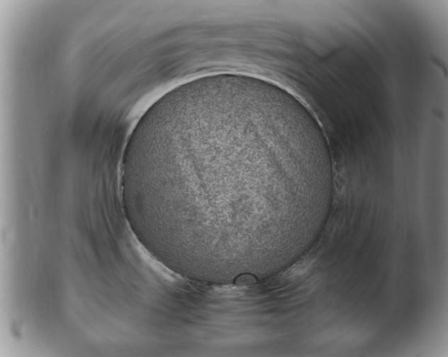 X0000103141535200809051602