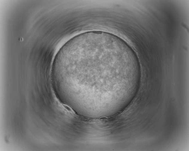 X0000103141536200809051602