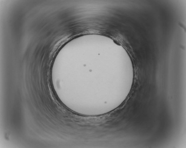 X0000103140001200809121804