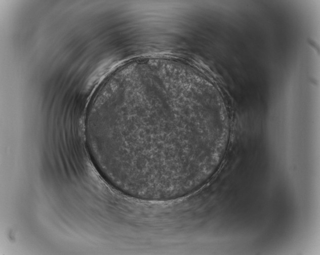 X0000103140002200809121804