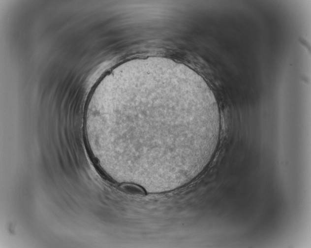 X0000103140003200809121804