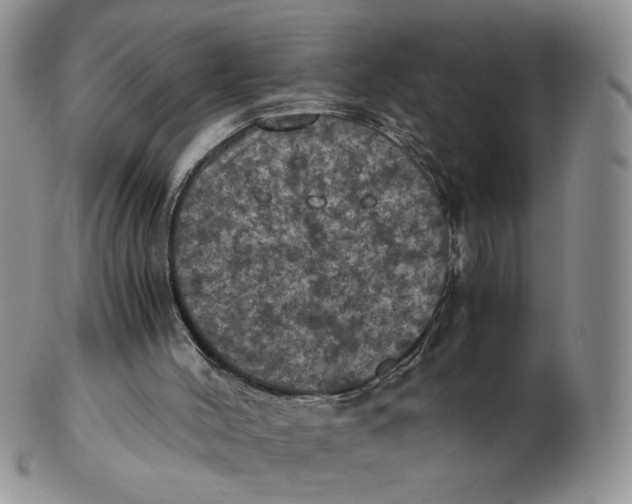 X0000103140004200809121804